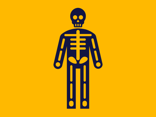 Illustration of human body and skeleton